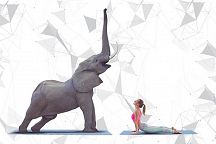  Mастер-класс по йоге со слонами