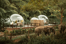 Jungle Bubble от Anantara Golden Triangle Elephant Camp & Resort